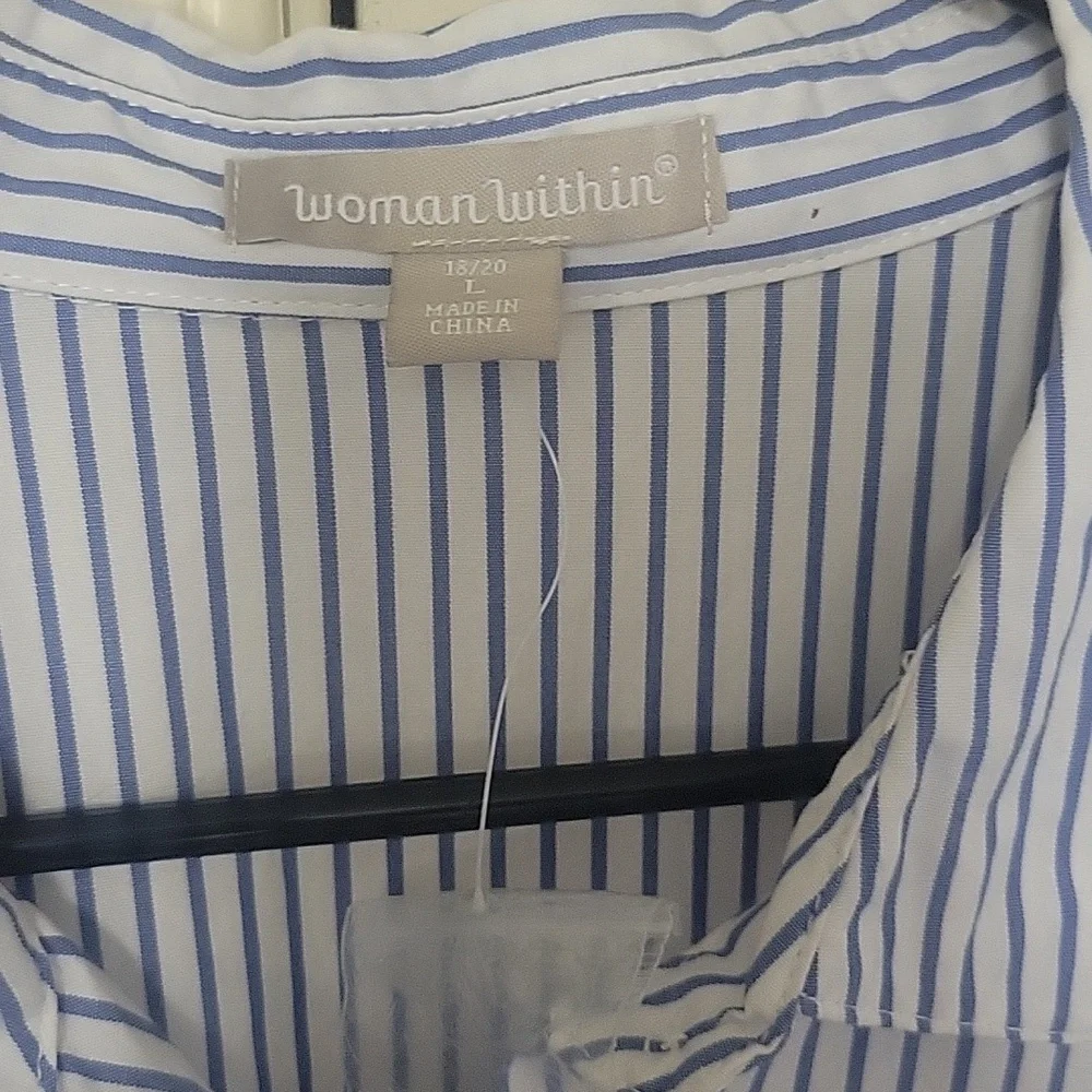 Blue Striped Women Shirt with Embroidery - Picture 3 of 6